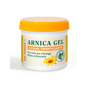 DR THEISS ARNICA GEL RAPIDO